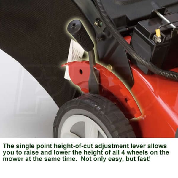 Snapper 21 190cc Rear Wheel Self Propelled Lawn Mower Snapper 7800179