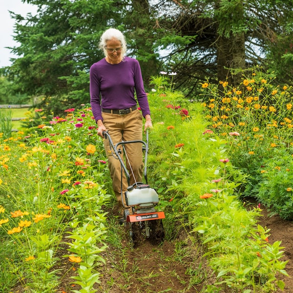 DR Power Equipment TW13140DMN