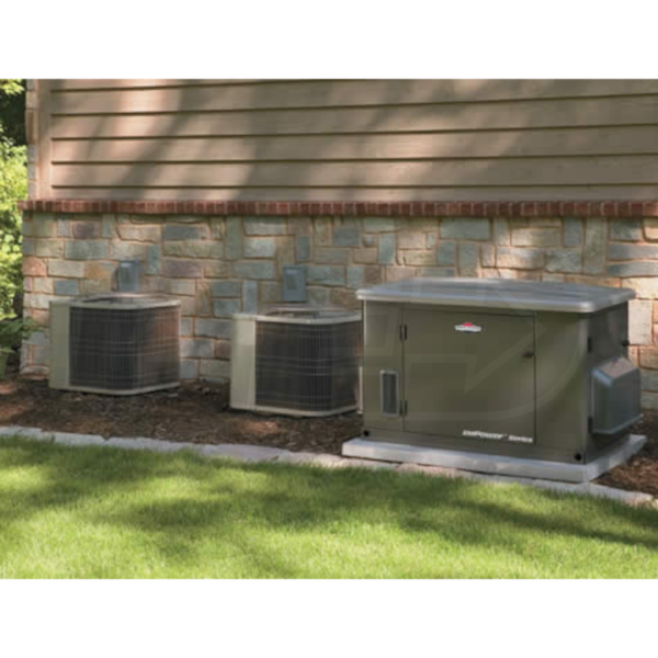 Briggs & Stratton 40236