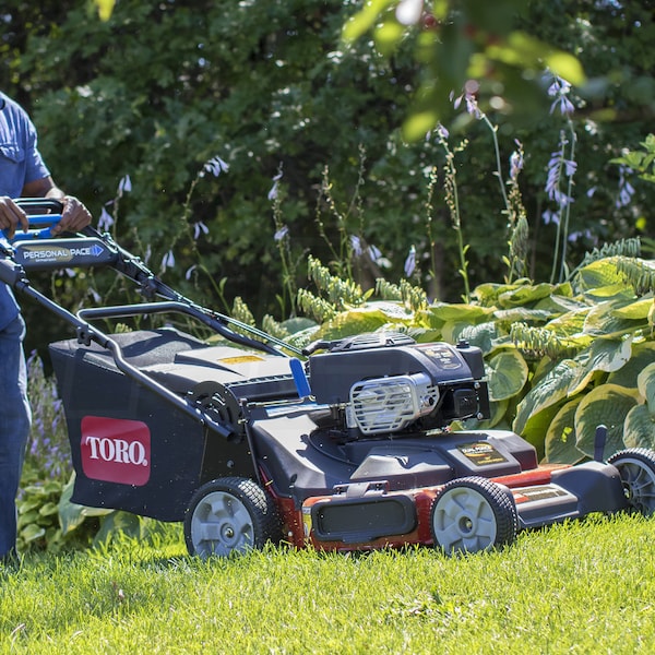 Toro 21199