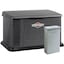 Briggs & Stratton 17kW Standby Generator System (Steel) (200A Service Disc. + Power Mgmt.)